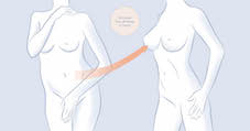 abdomen_breast.jpg